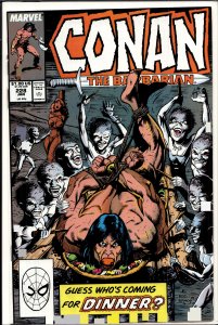 Conan the Barbarian #228 (1990) Conan