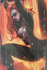 Heat Seeker Combustion #1 + #2 + #4 virgin cover variants (2024) LOT 4 issues