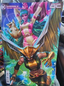 Hawkgirl 2 Derrick Chew Cover