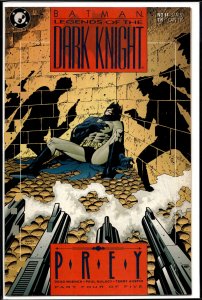 Legends of the Dark Knight #14 (1991) Batman