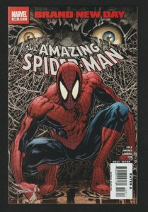 The Amazing Spider-Man #553 (2008) Marvel
