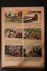 Four Color #1189 (1961) High-Grade VF or better Greyfriars Bobby Oregon CERT Wow