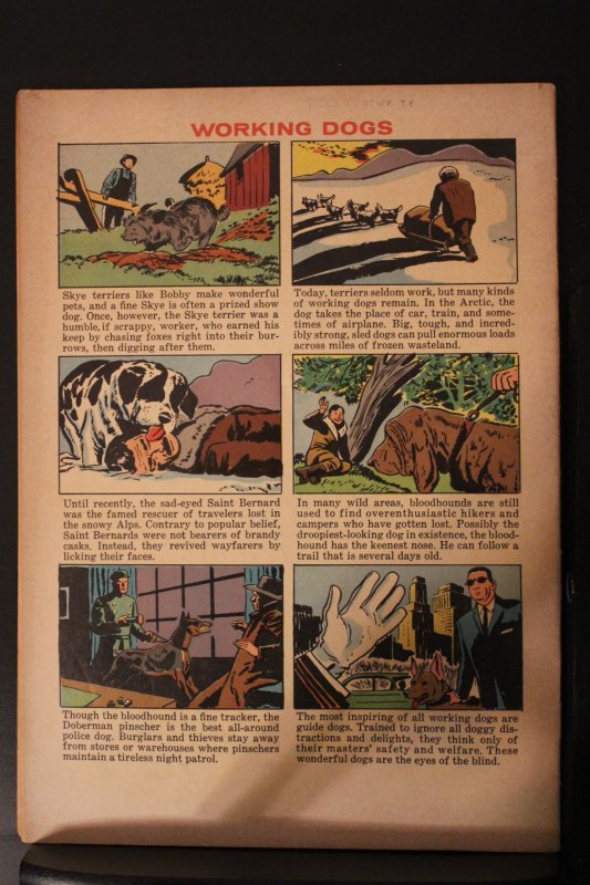 Four Color #1189 (1961) High-Grade VF or better Greyfriars Bobby Oregon CERT Wow