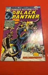 Jungle Action #12 (1974)black panther vs killmonget