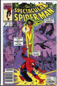 The Spectacular Spider-Man #176 (1991) Spider-Man [Key Issue]