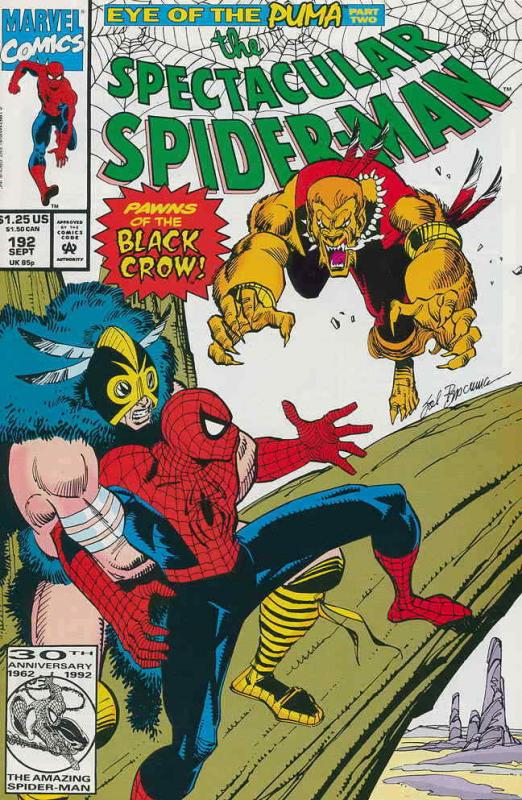 Spectacular Spider-Man, The #192 VF; Marvel | save on shipping - details inside