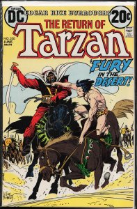 Edgar Rice Burroughs' Tarzan #220 (1973)