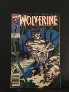 Wolverine #25 (1990)
