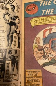 The Amazing Spider-Man #30 (1965) claws of the cat