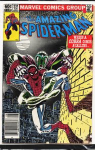 The Amazing Spider-Man #231 (1982) Spider-Man