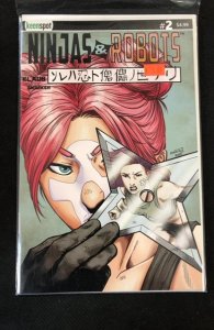 Ninjas and Robots #2 Cover B (2020)