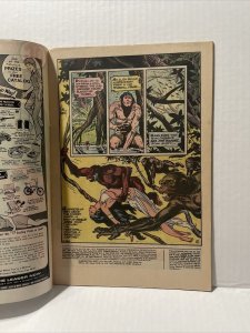 Tarzan #224 1973 DC