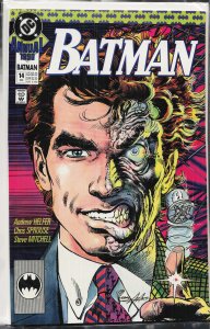Batman Annual #14 (1990) Batman