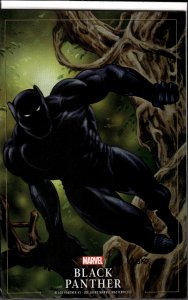 Black Panther #3 Jusko Cover (2022) [Key Issue]