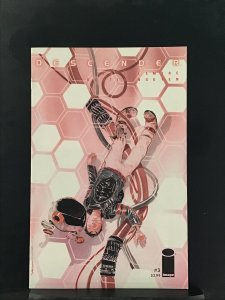 Descender #3 (2015)