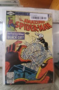 The Amazing Spider-Man #205 (1980)