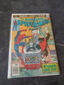The Amazing Spider-Man #162 (1976) THE PUNISHER