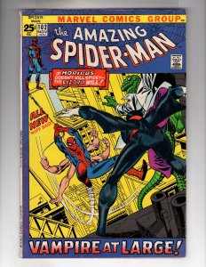 The Amazing Spider-Man #102 (1971)  - [CR200-FP#01]