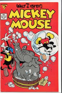 Mickey Mouse #232 (1987)