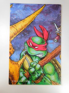 Teenage Mutant Ninja Turtles #6 (1986)