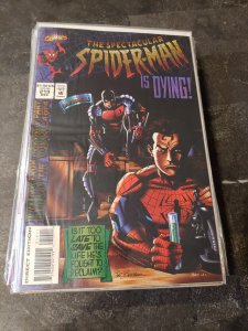 The Spectacular Spider-Man #219 (1994)
