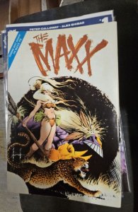 The Maxx #1 (1993)