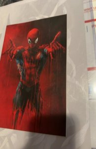 Amazing Spider-Man 21  van Tao Virgin Comic Mint Edition