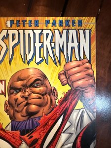 Peter Parker: Spider-Man #6 (1999)