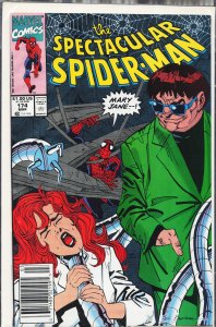 The Spectacular Spider-Man #174 (1991) Spider-Man