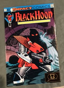 The Black Hood #1 (1991)