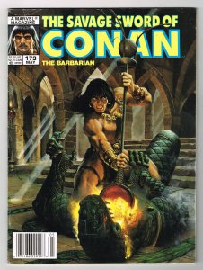 The Savage Sword of Conan The Barbarian #173 (1990) NEWSSTAND COPY