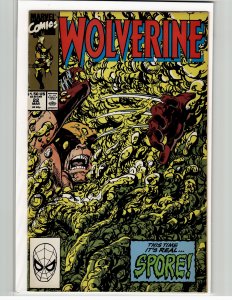 Wolverine #22 (1990) Wolverine