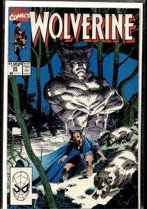 Wolverine #25 (1990) Wolverine