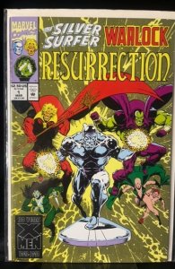 Silver Surfer/Warlock: Resurrection #1 (1993)