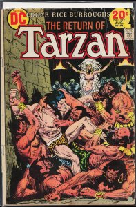 Edgar Rice Burroughs' Tarzan #222 (1973)
