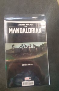 Star Wars: The Mandalorian  #1 Variant Cover (2023)