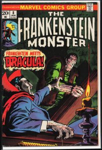 The Frankenstein Monster #8 (1974) Frankenstein Monster