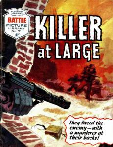 Killer At Large
