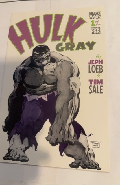 Hulk Gray #1  - Jeph Loeb Tim Sale - 1st Print Marvel Comics 2003 MCU