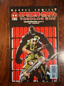 Spider-Man's Tangled Web #17 (2002)