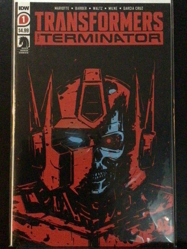 Transformers vs. the Terminator #1 (2020)
