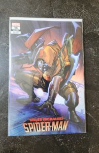 Miles Morales: Spider-Man #38 Segovia Cover (2022)