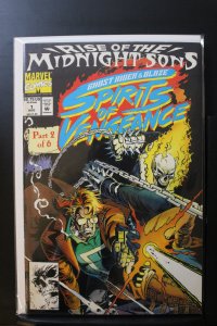 Ghost Rider/Blaze: Spirits of Vengeance #1 Direct Edition (1992)