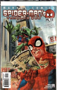 Spider-Man's Tangled Web #12 (2002) Spider-Man