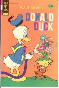 DONALD DUCK 159 VF-NM  October 1974 COMICS BOOK