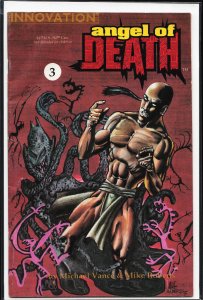 Angel of Death #3 (1991)