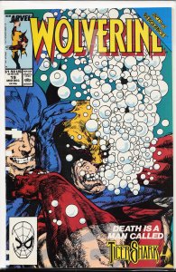 Wolverine #19 (1989) Wolverine