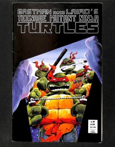 Teenage Mutant Ninja Turtles #16