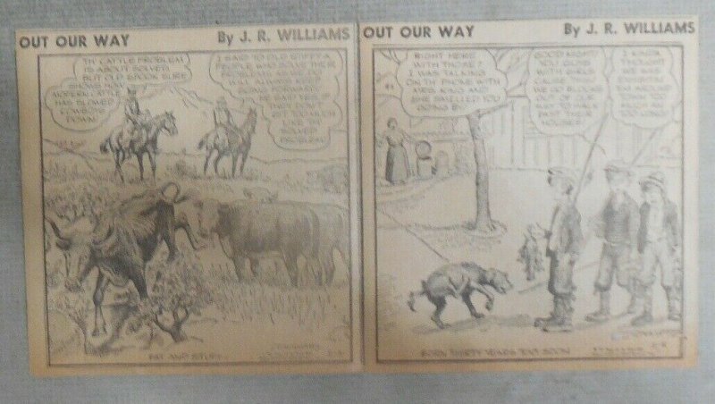 (92) Out Our Way by JR Williams Dailies from 1954-55 Size: 4 x 4.5 inches  