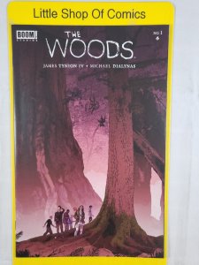 The Woods #1 Matthew Woodson 1:10 Variant 2014 Boom! Studios Optioned